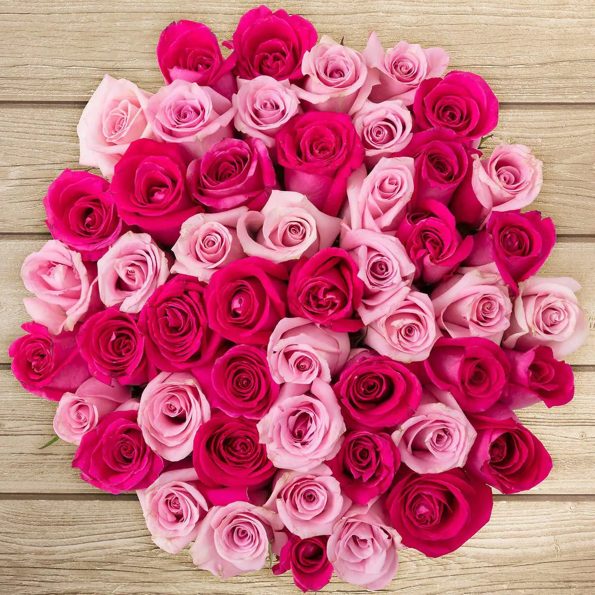 002 Multicolor Roses Special ❤️💗❤️