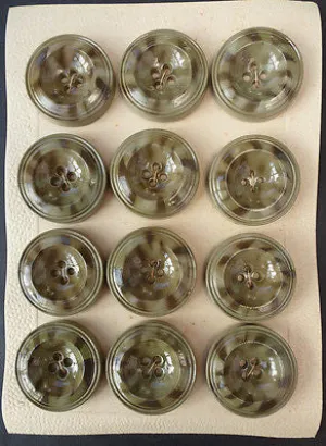 Charming 2.8cm Vintage Tortoiseshell Buttons -12 on Card