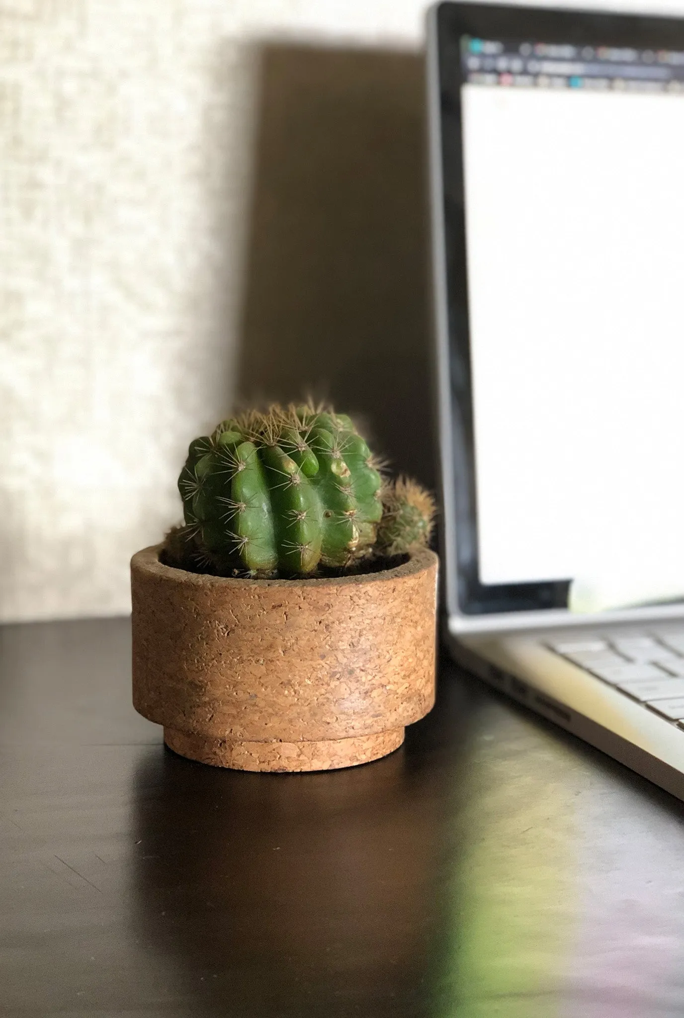 CORK CONTAINERS (SET OF 4)