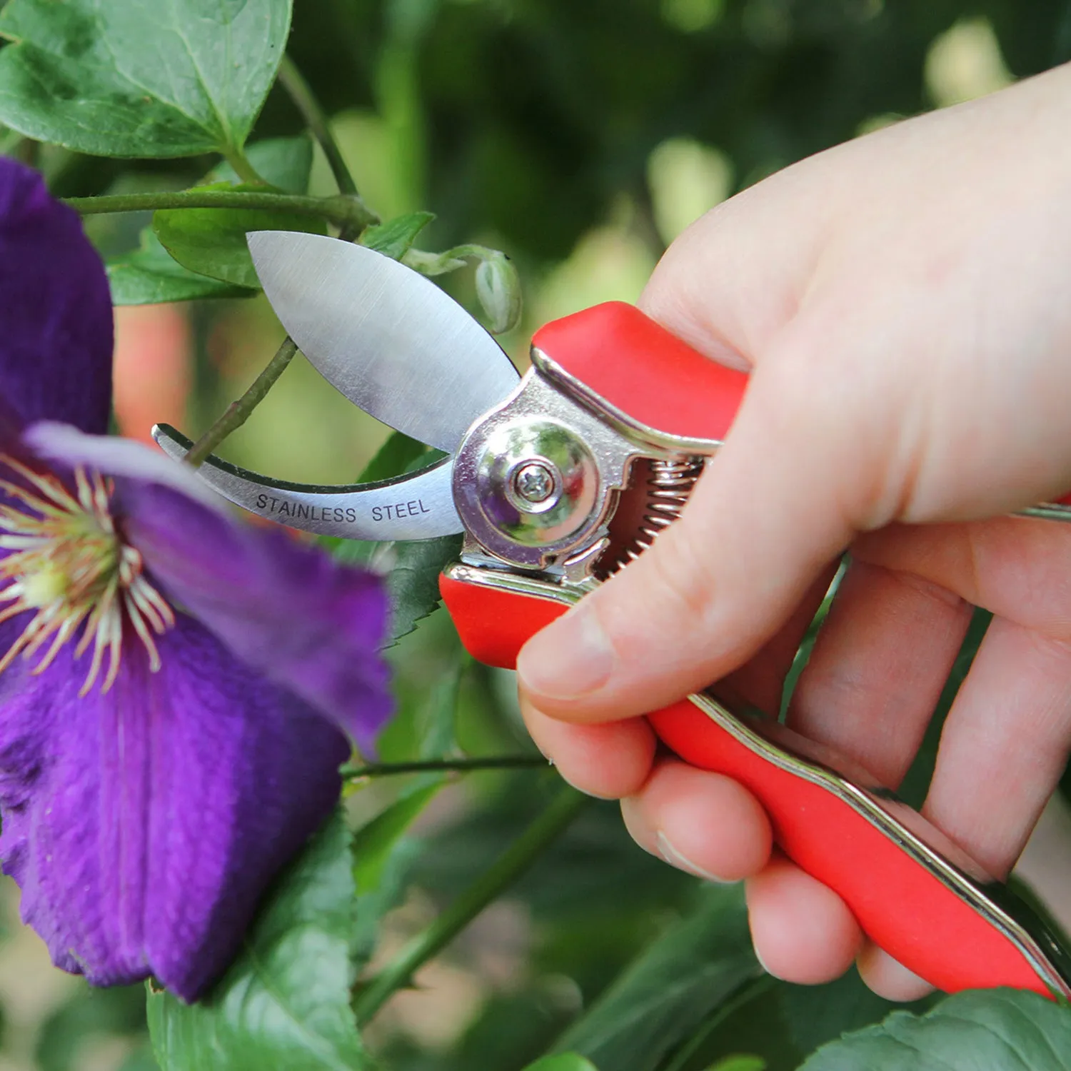 Darlac DP70 Mini Bypass Pruner