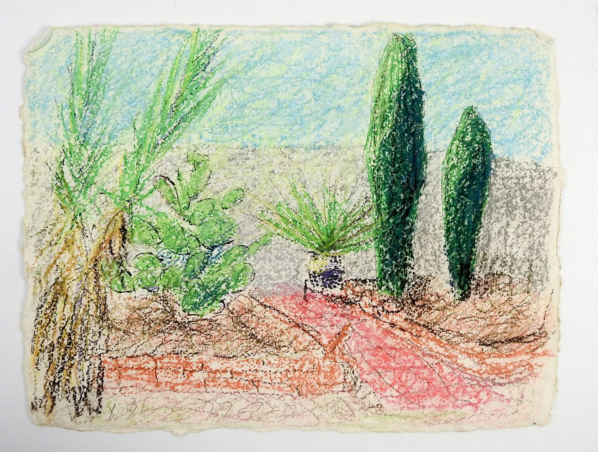Desert Green Color Drawing