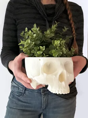 Hanging Skull Planter