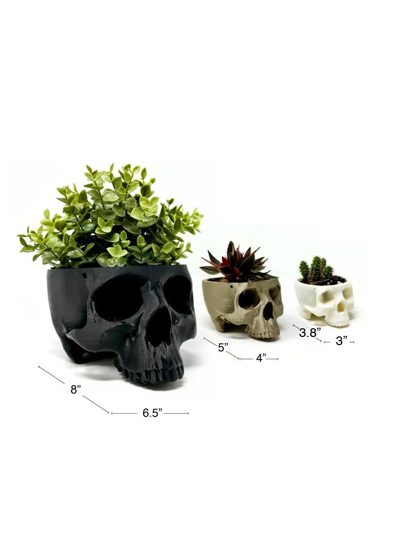 Hanging Skull Planter