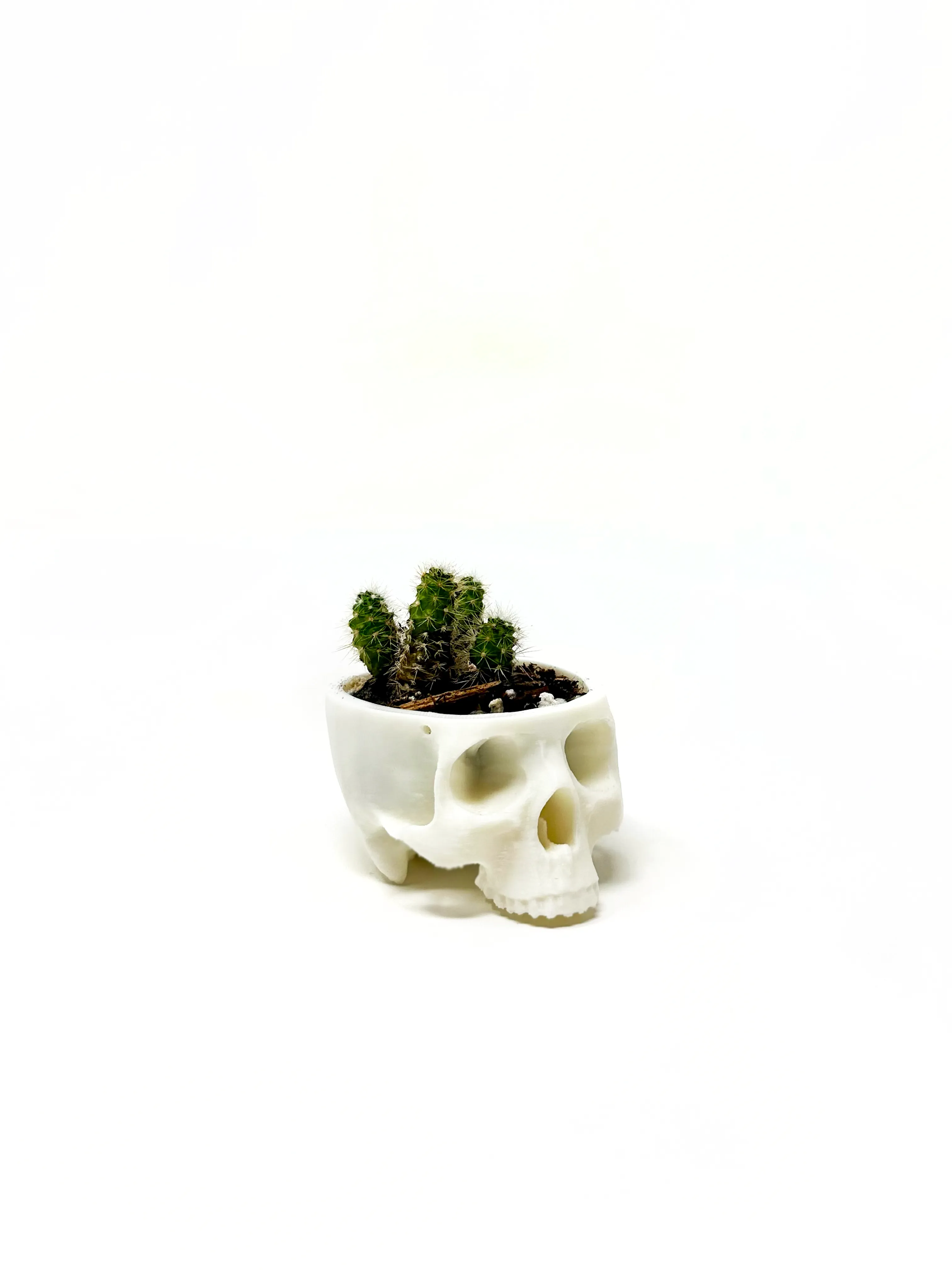 Hanging Skull Planter