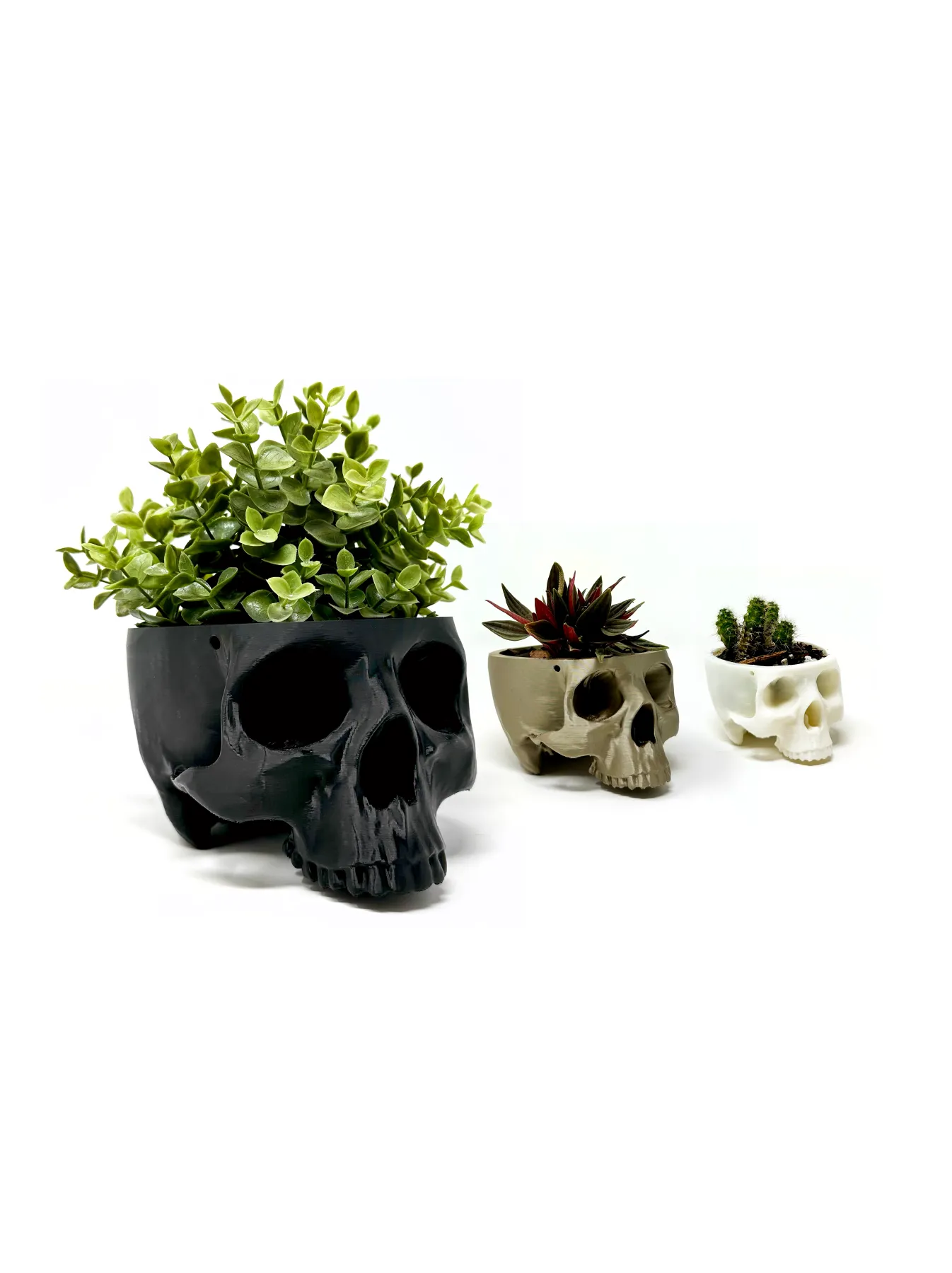 Hanging Skull Planter