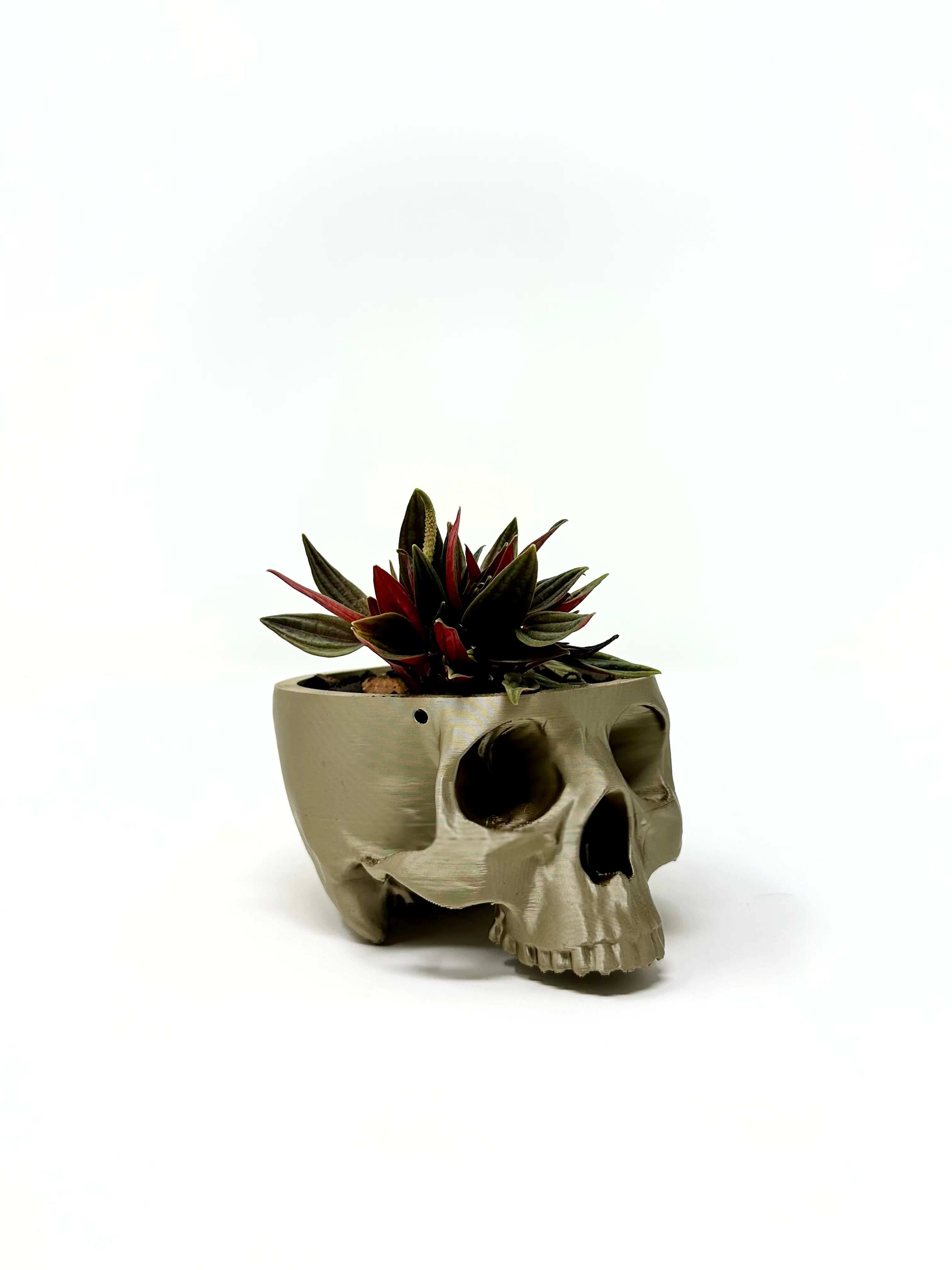 Hanging Skull Planter