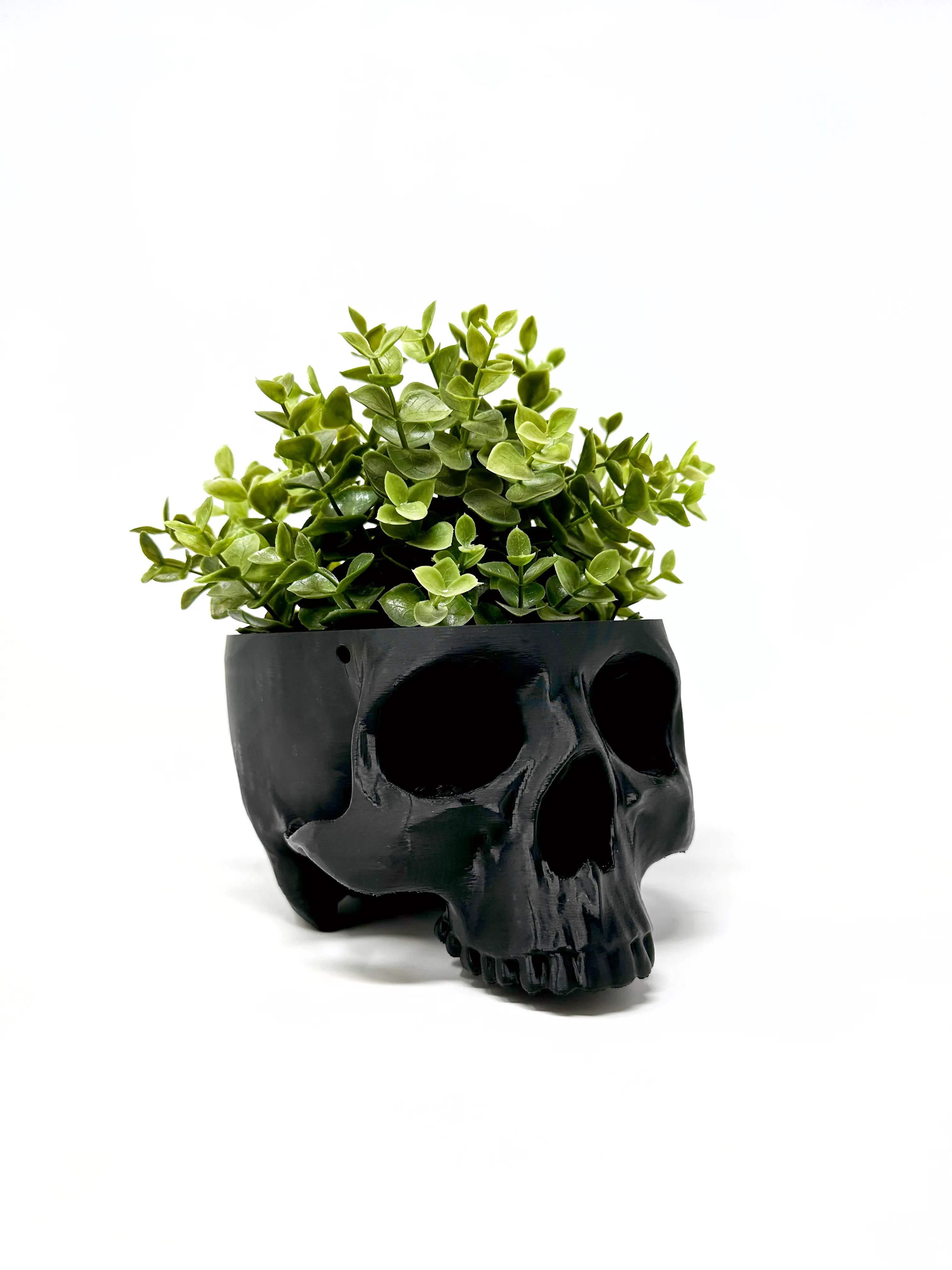 Hanging Skull Planter