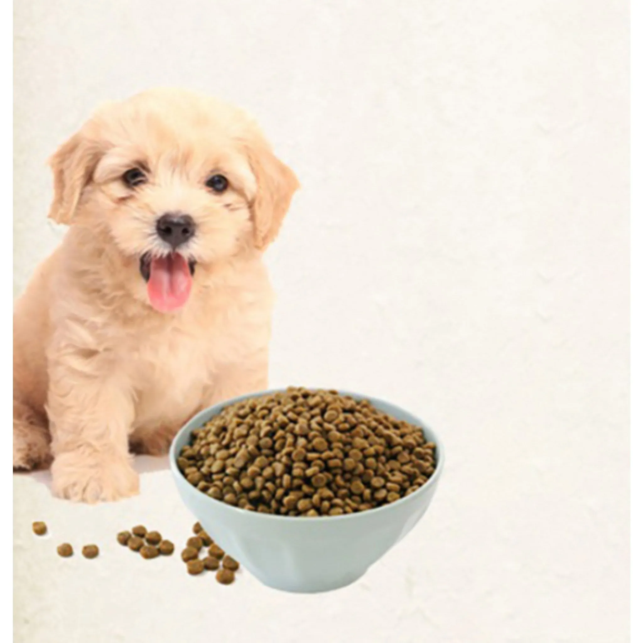 Healthy White Paper Dog All Ages Functional Food, Bone/Joint Strengthening, 3.9kg, 1 unit - 🏆 #37 - Pet Supplies - Best of December