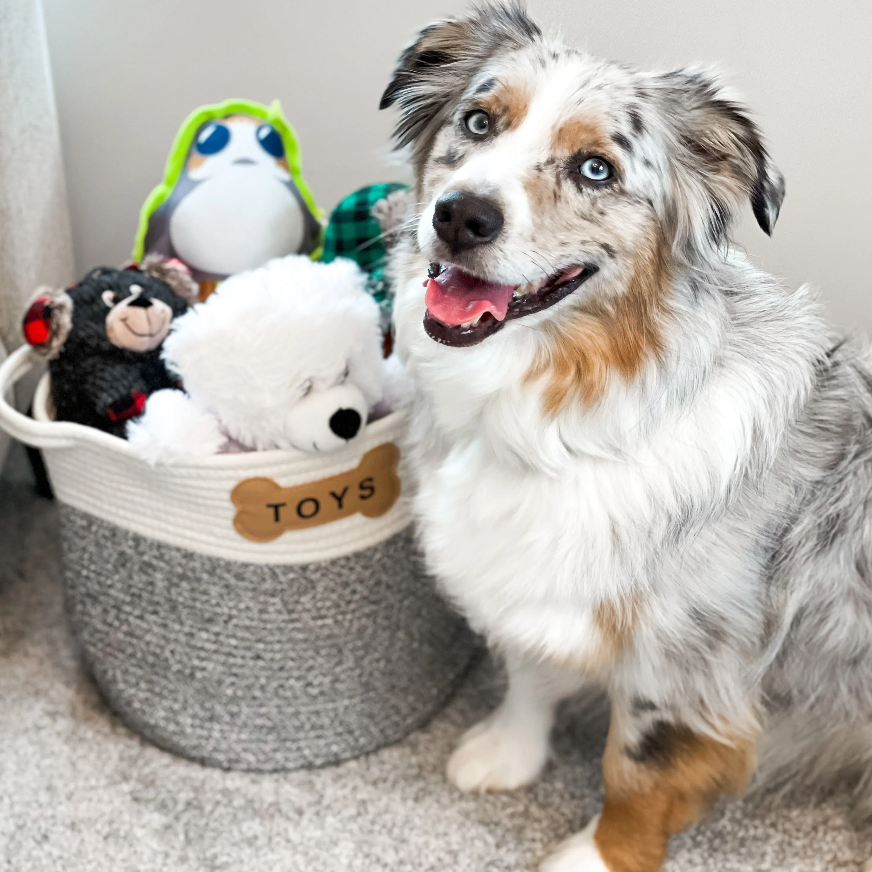 NAPLES PET TOY BASKET