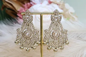 Partywear Long Earring