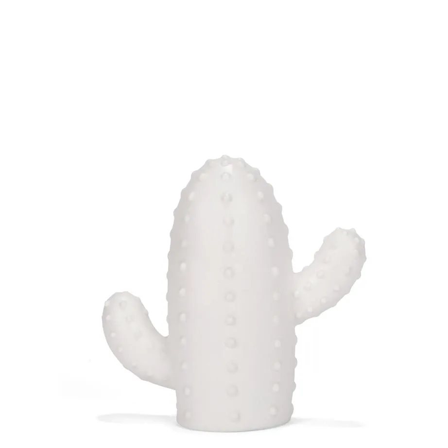 Pineapple and Cactus LED Lights