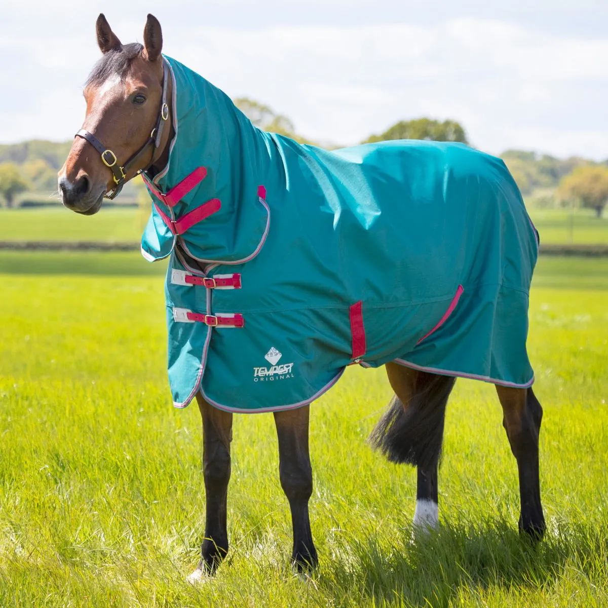 Shires Tempest Original Air Motion Combo Turnout Rug