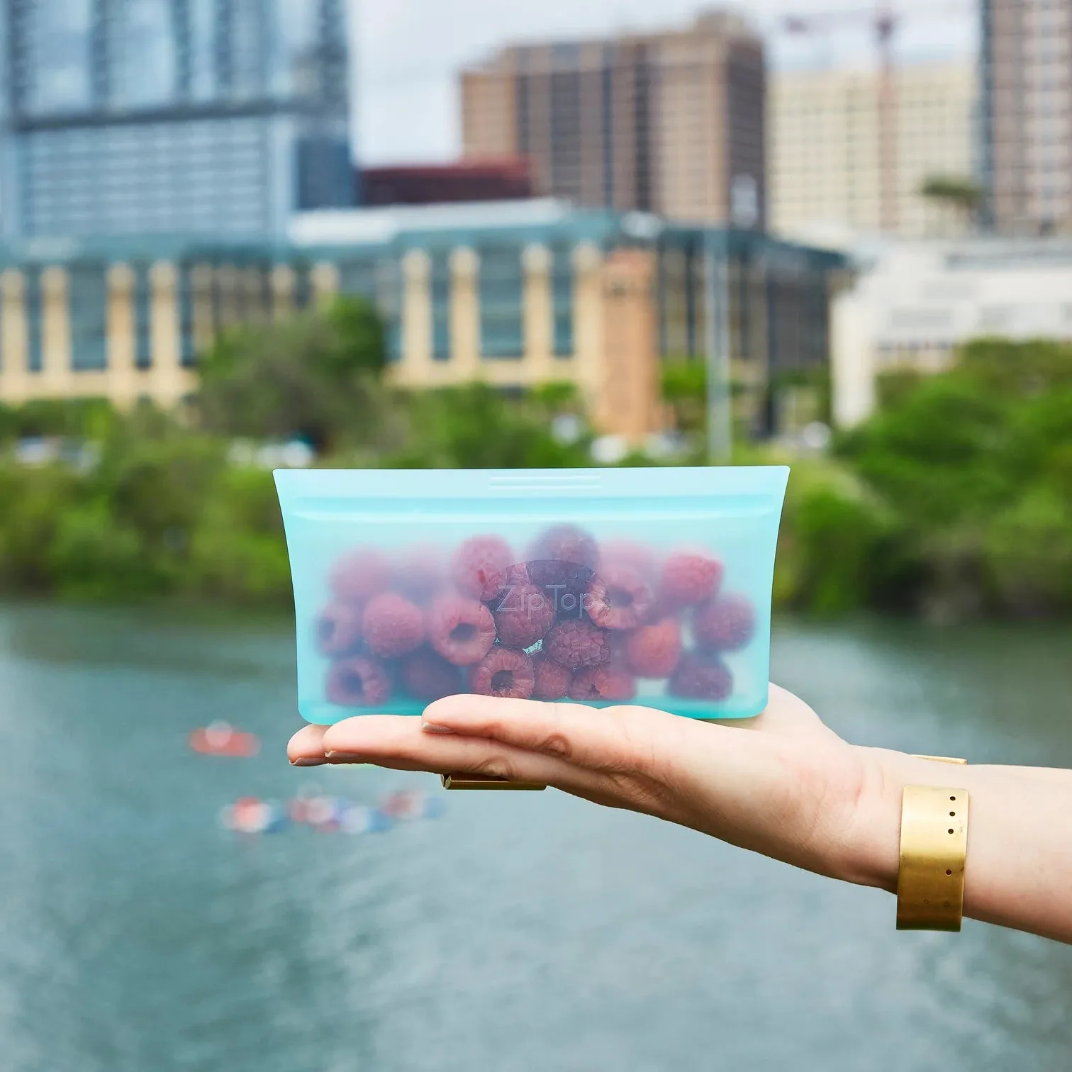 Snack Bag
