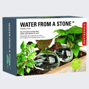 Water From a Stone (Glass Self Watering System)