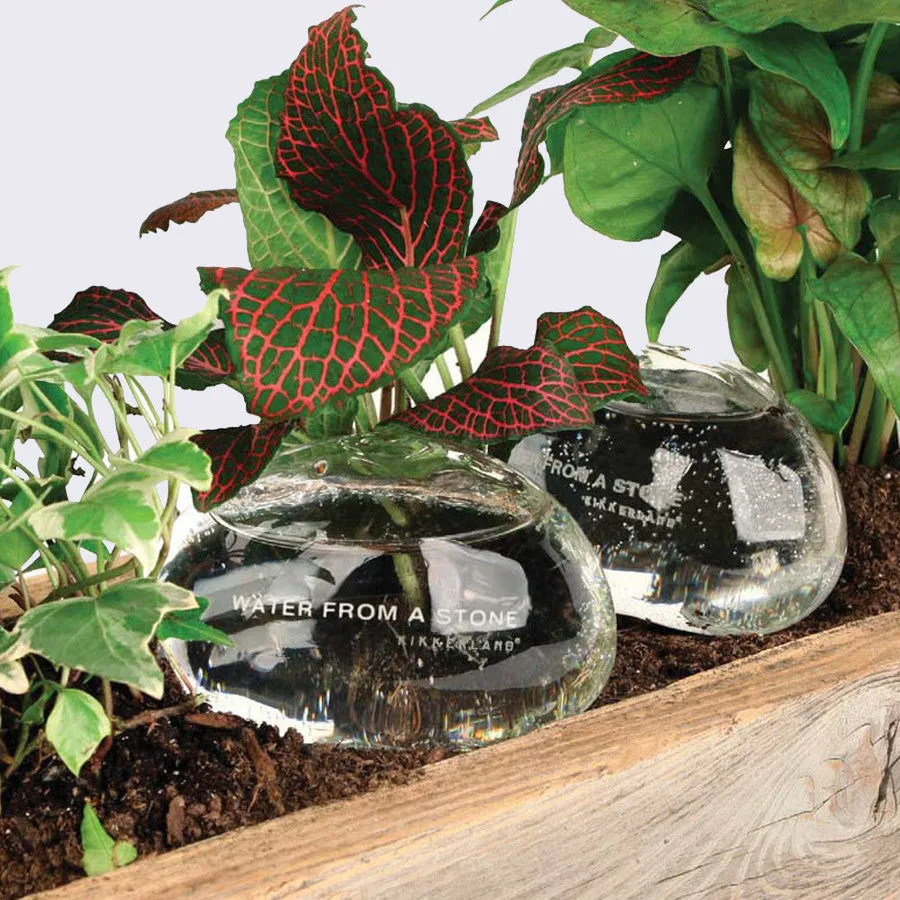 Water From a Stone (Glass Self Watering System)