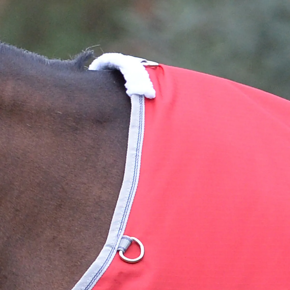 Weatherbeeta Comfitec Classic Standard Neck Lite Plus