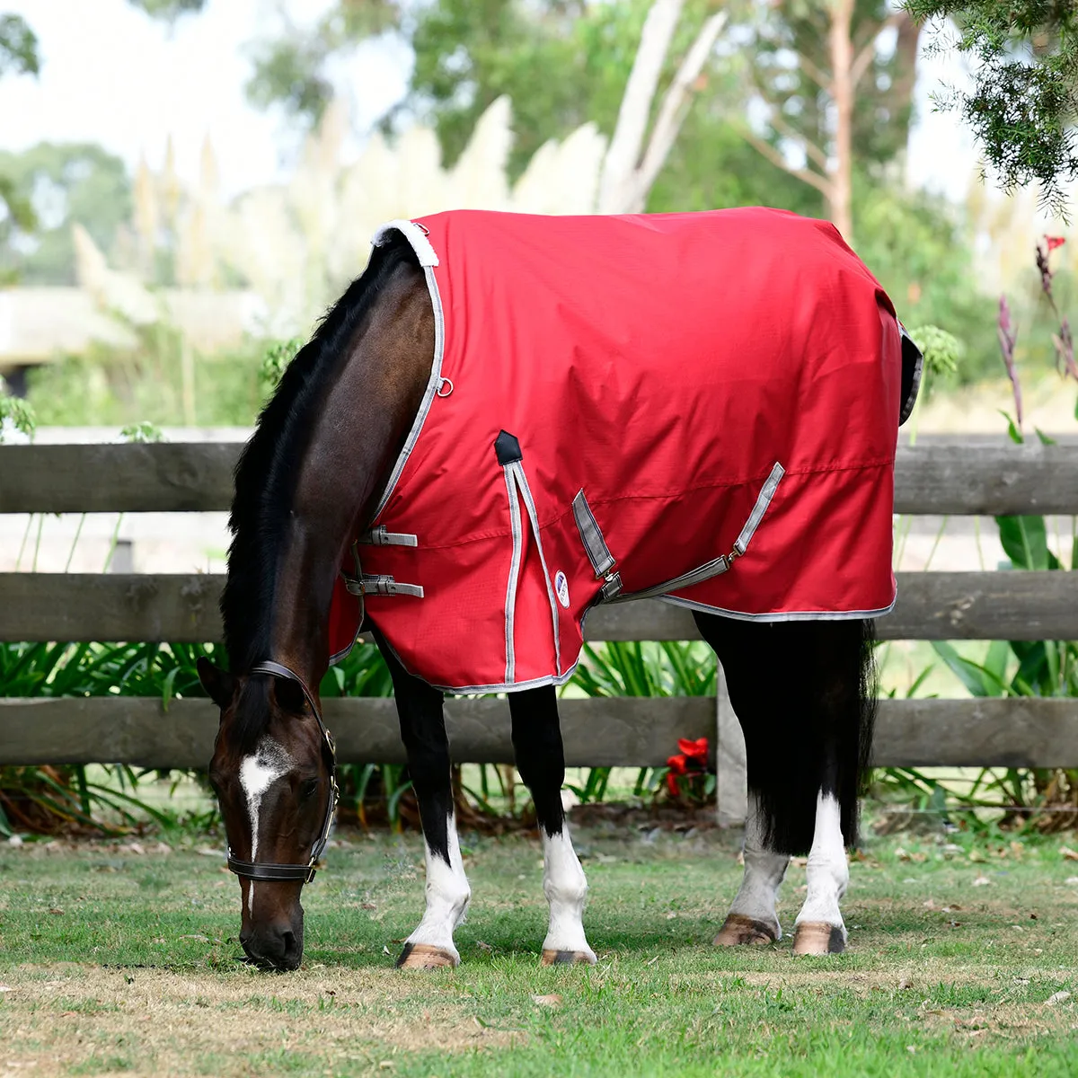 Weatherbeeta Comfitec Classic Standard Neck Lite Plus